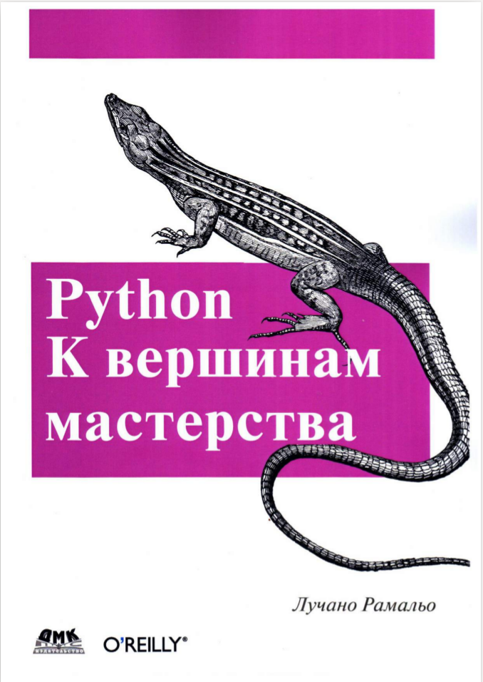 Python: К вершинам мастерства